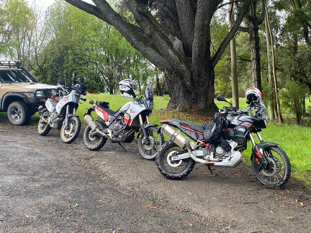 Otway Adventure Motorcycles-Pennyroyal必去景点