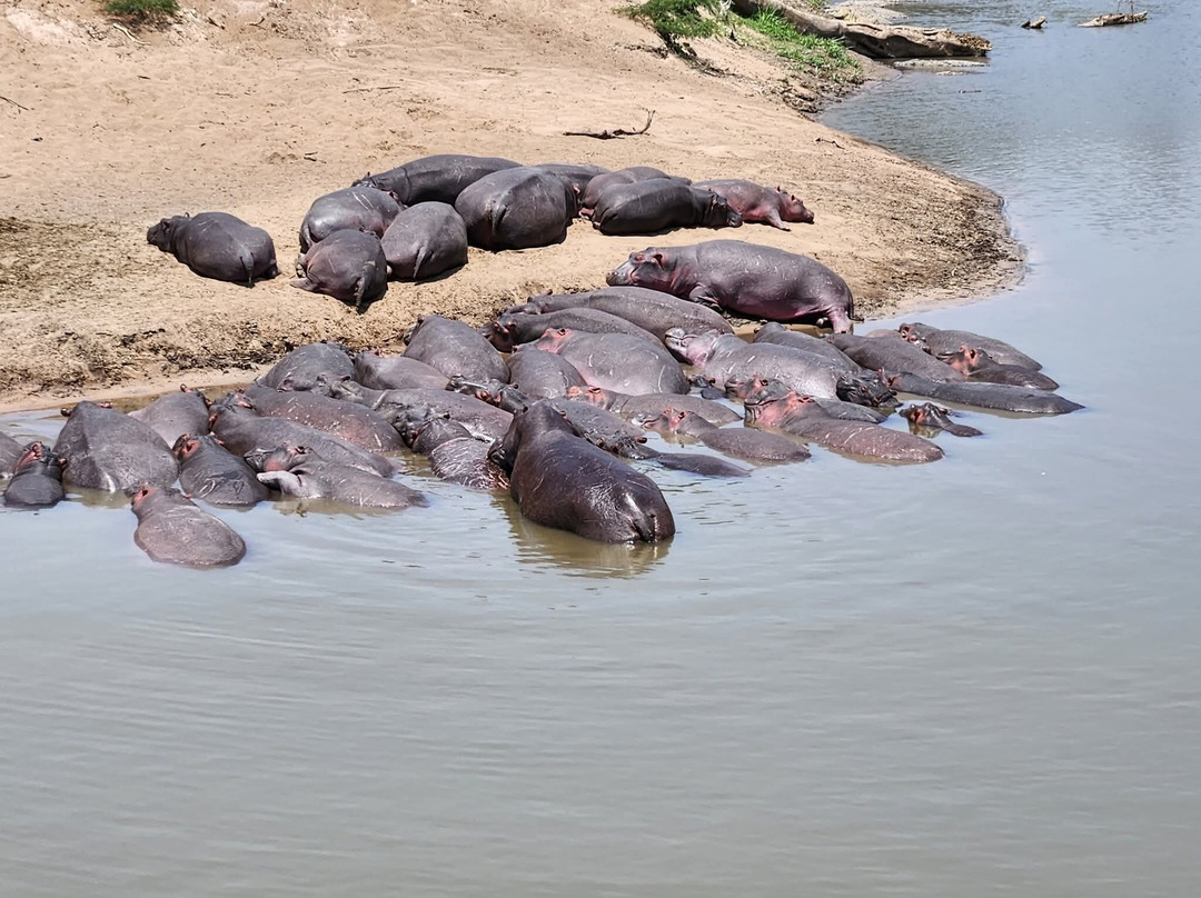 Mamasavana-马林地必去景点