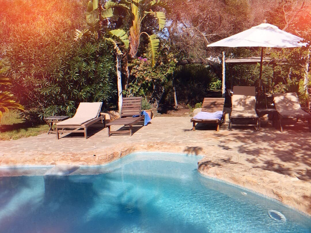 Lilypod Yoga-伊维萨必去景点