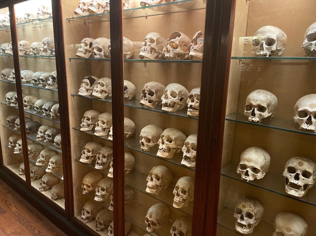 El Museo Canario-大加那利岛拉斯帕尔马斯必去景点