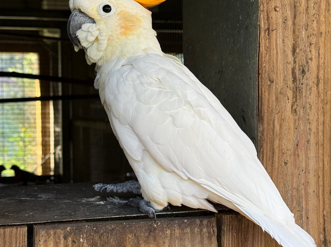 Zoo Bassin d'Arcachon-拉泰斯特德比克必去景点
