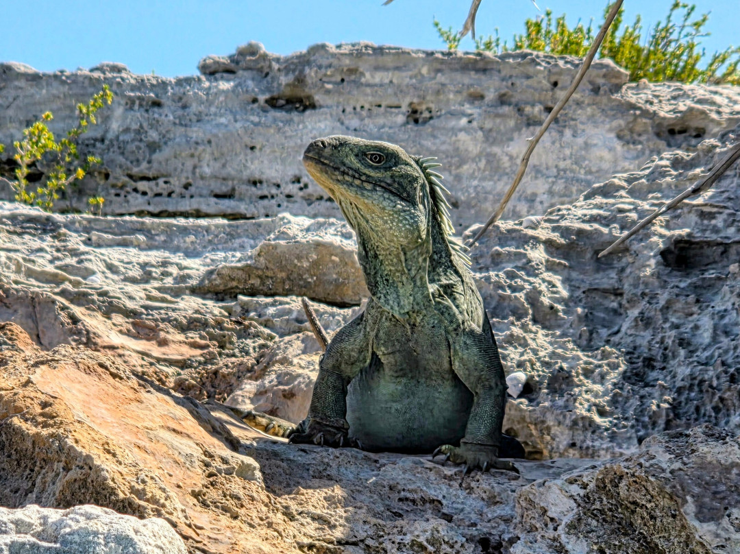 Silly Creek Water Sports-普罗维登西亚莱斯必去景点