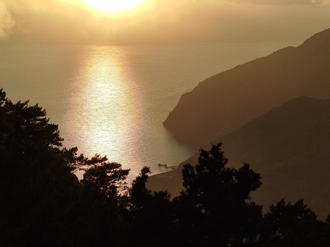 Guesthouse Alonia主图