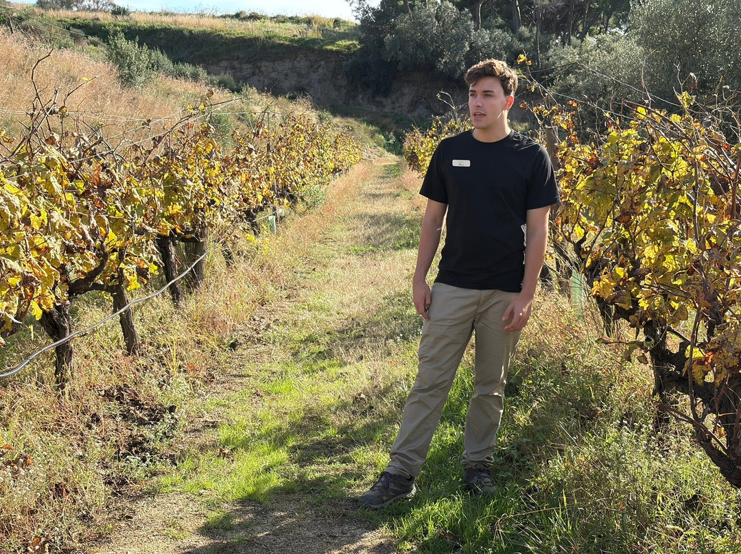 Bouquet d'Alella-Alella必去景点