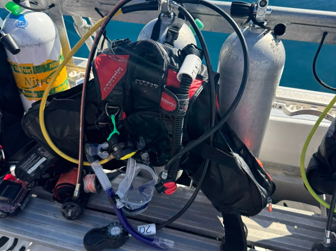 Pura Vida Divers-Singer Island必去景点