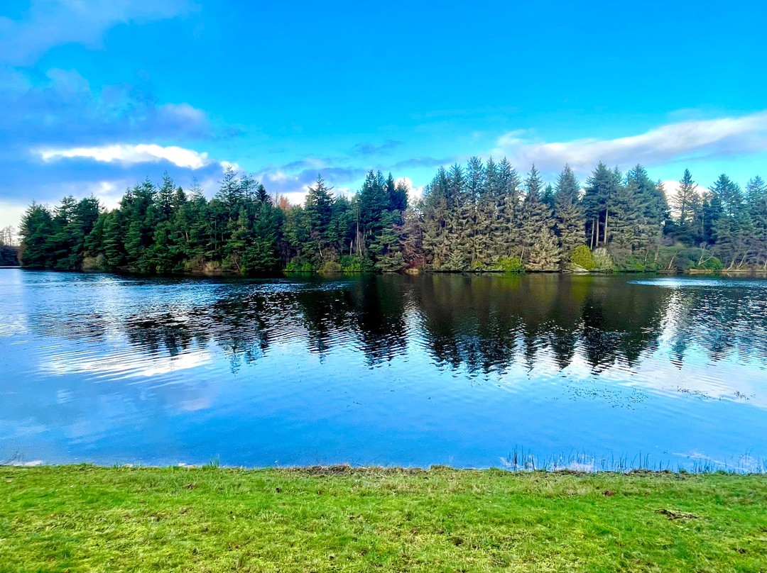 Crombie Country Park-Forfar必去景点