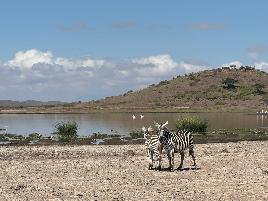 Northern Wild Hunters