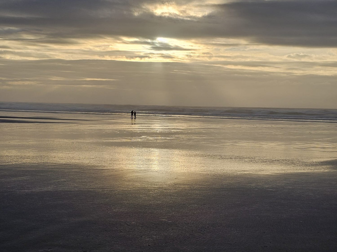 Otter Crest Marine Gardens-Otter Rock必去景点