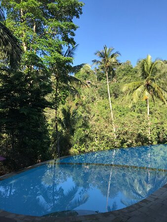 爱咏乌布度假酒店主图