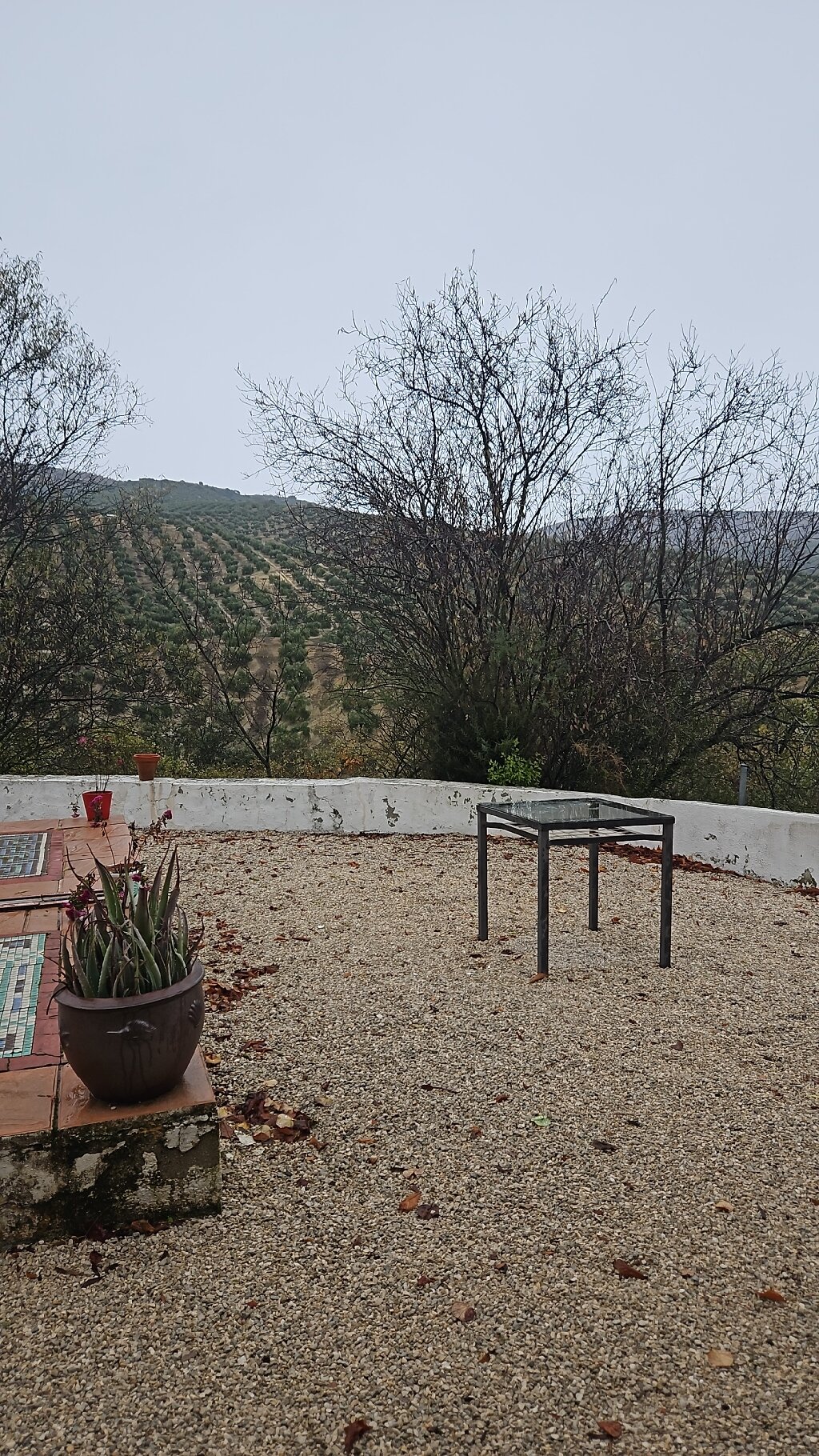 Casa el Castano-官方