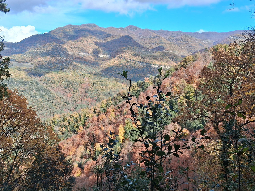 Bufadors de Bevi-Santa Maria de Besora必去景点