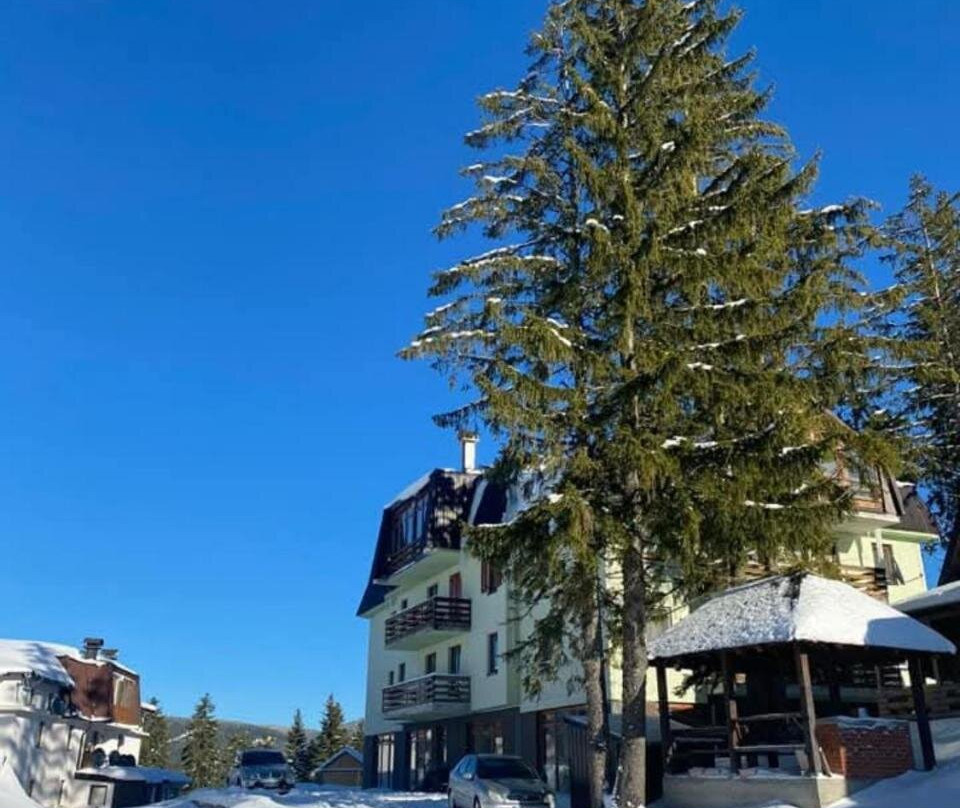 Apartments and Rooms Ski