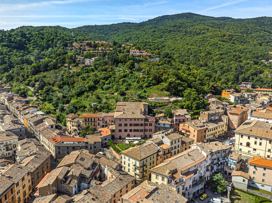 Province of Viterbo酒店住宿-帕拉索卡塔拉尼酒店