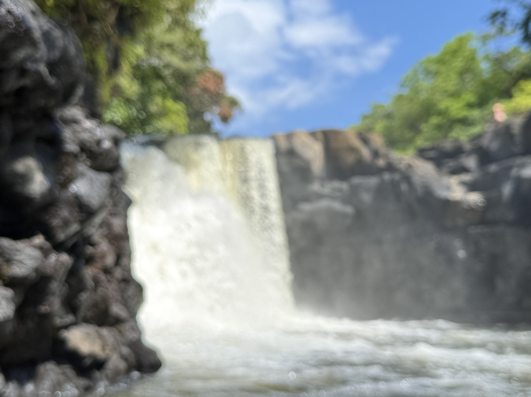 Apollon Cruise-Palmar必去景点