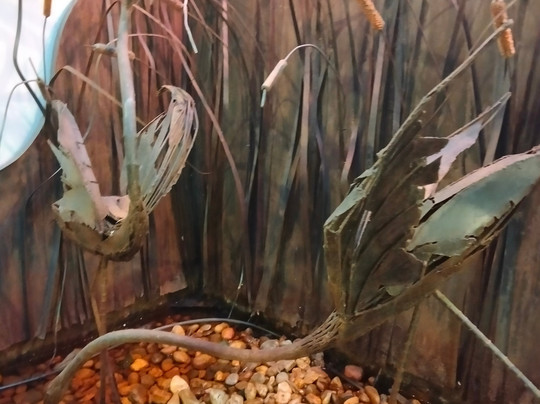 ON Acebuchal 23主图