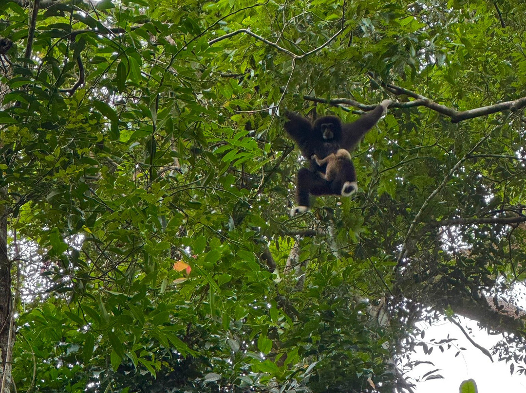 Khoa Yai and Beyond-考艾国家公园必去景点