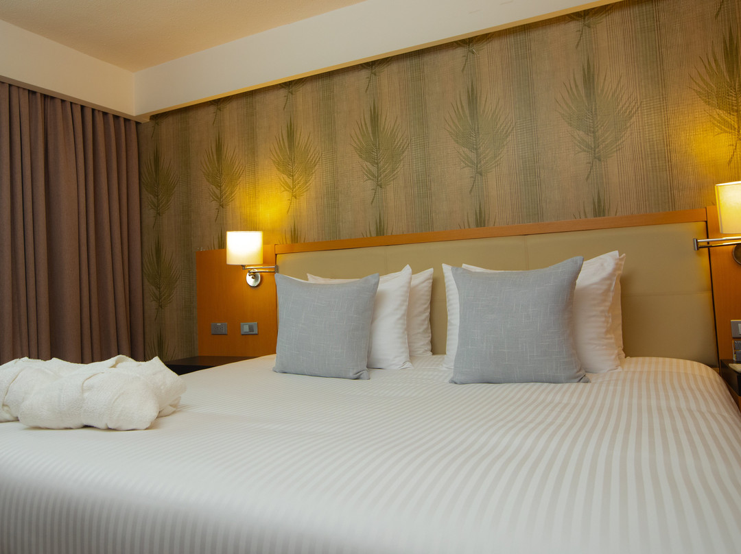 Hesperia Maracay主图