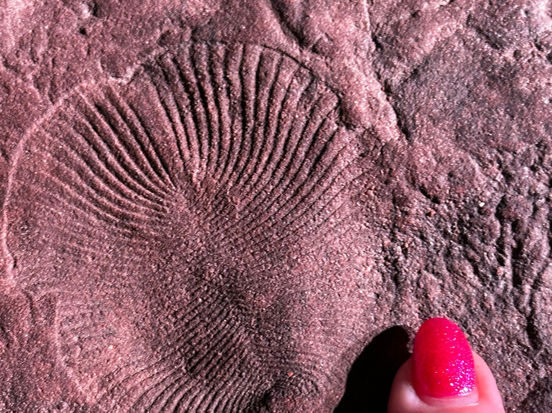 Air Adventure Australia-墨尔本必去景点