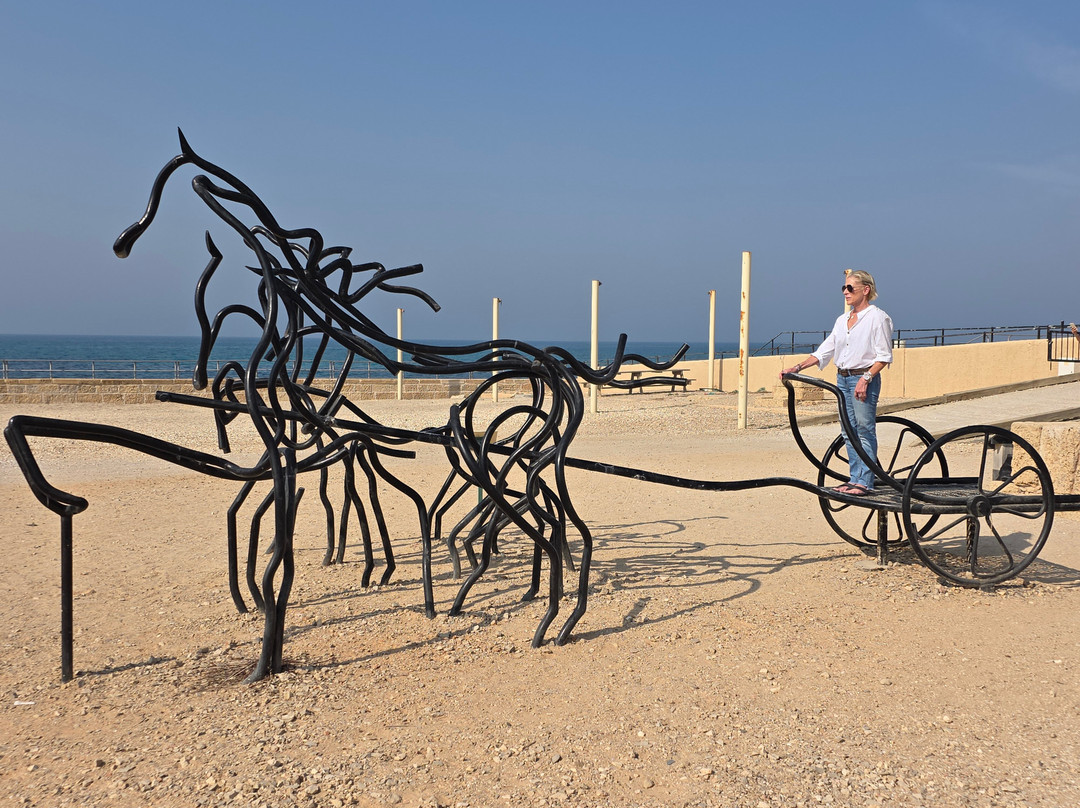 Dafna Koren Cohen - Private Tour Guide-雷霍沃特必去景点