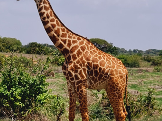 Polenta Usei-瓦塔木必去景点