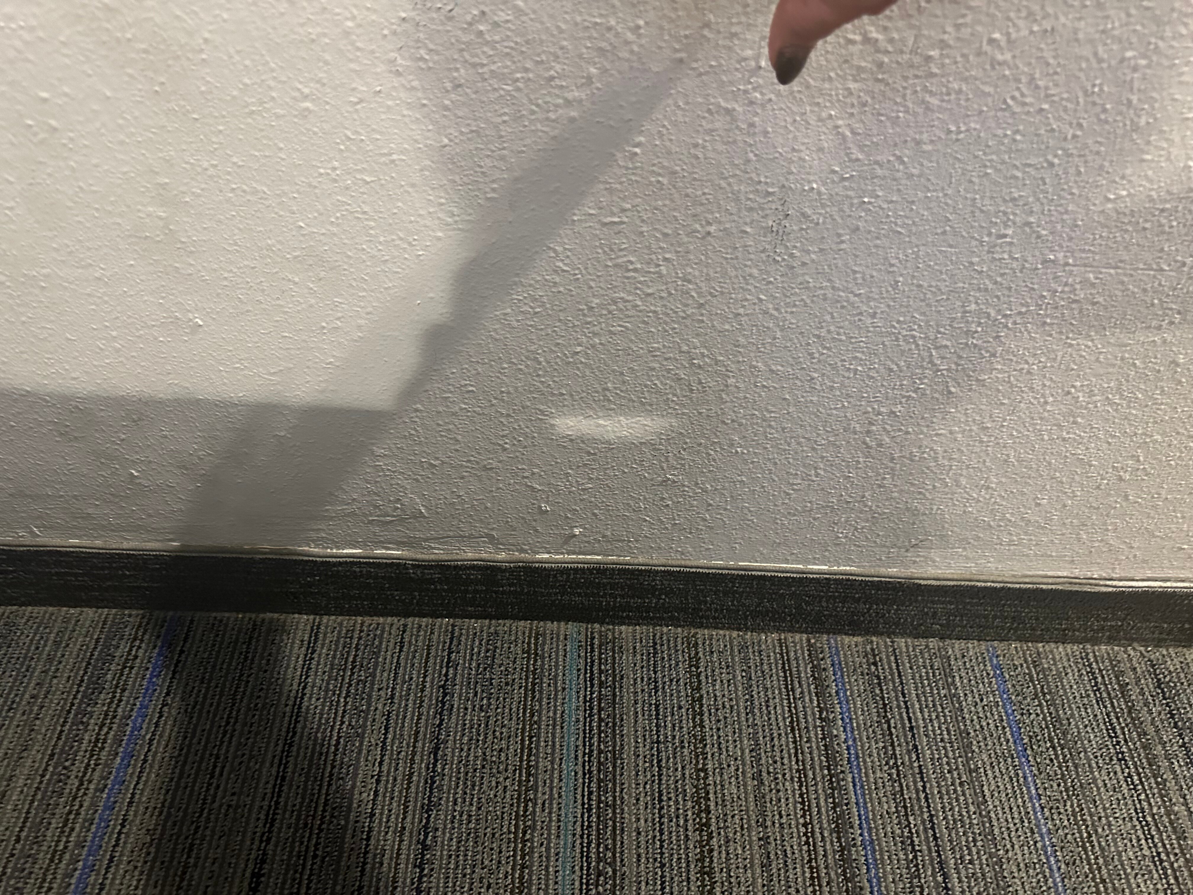 Best Western Beachside Inn-官方