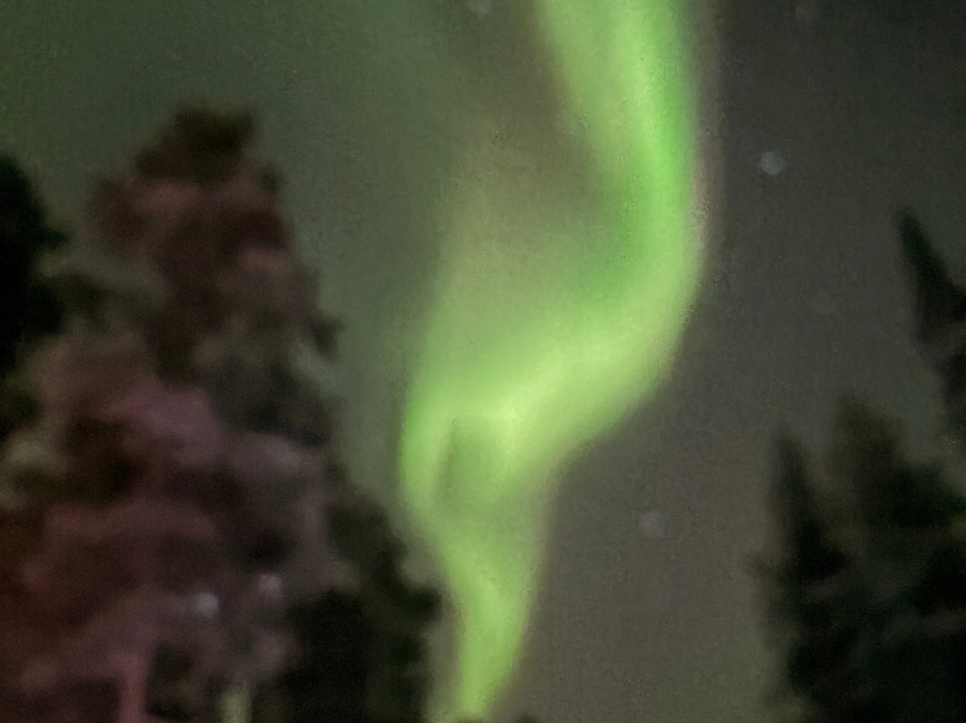 Arctic Timetravels-撒利塞卡必去景点