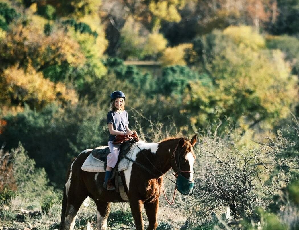 Horsin' Around Adventures-Cornville必去景点