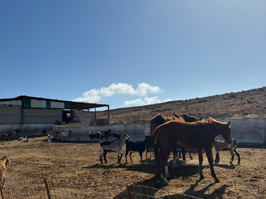 Finca Pepe-Betancuria必去景点