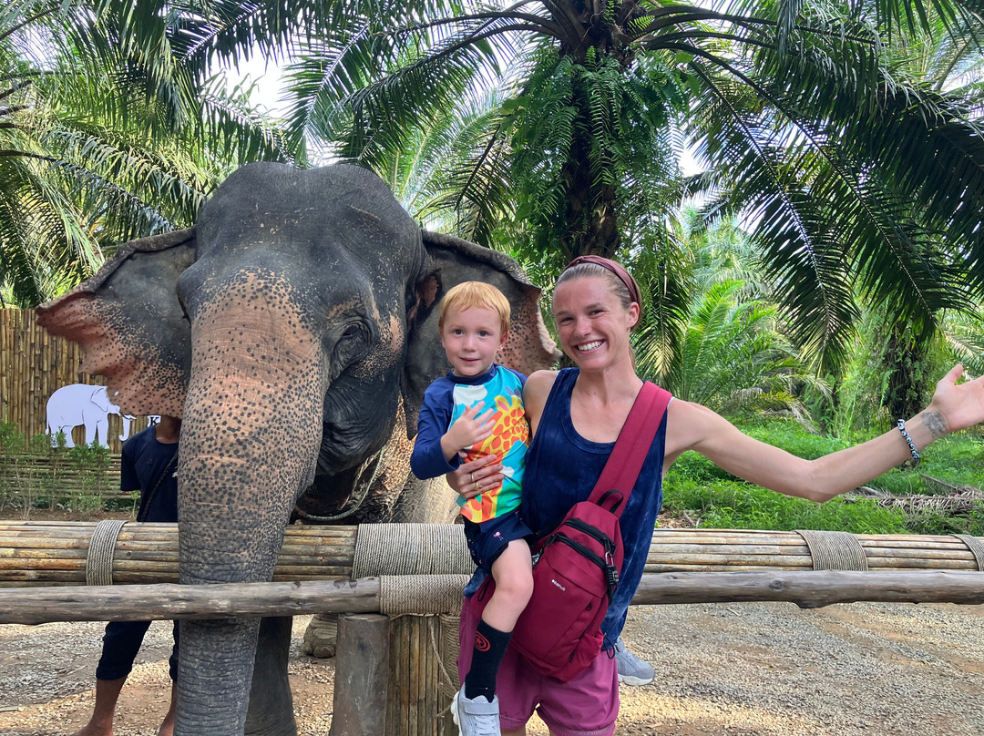 Khao Sok Elephant Sanctuary-拷索国家公园必去景点