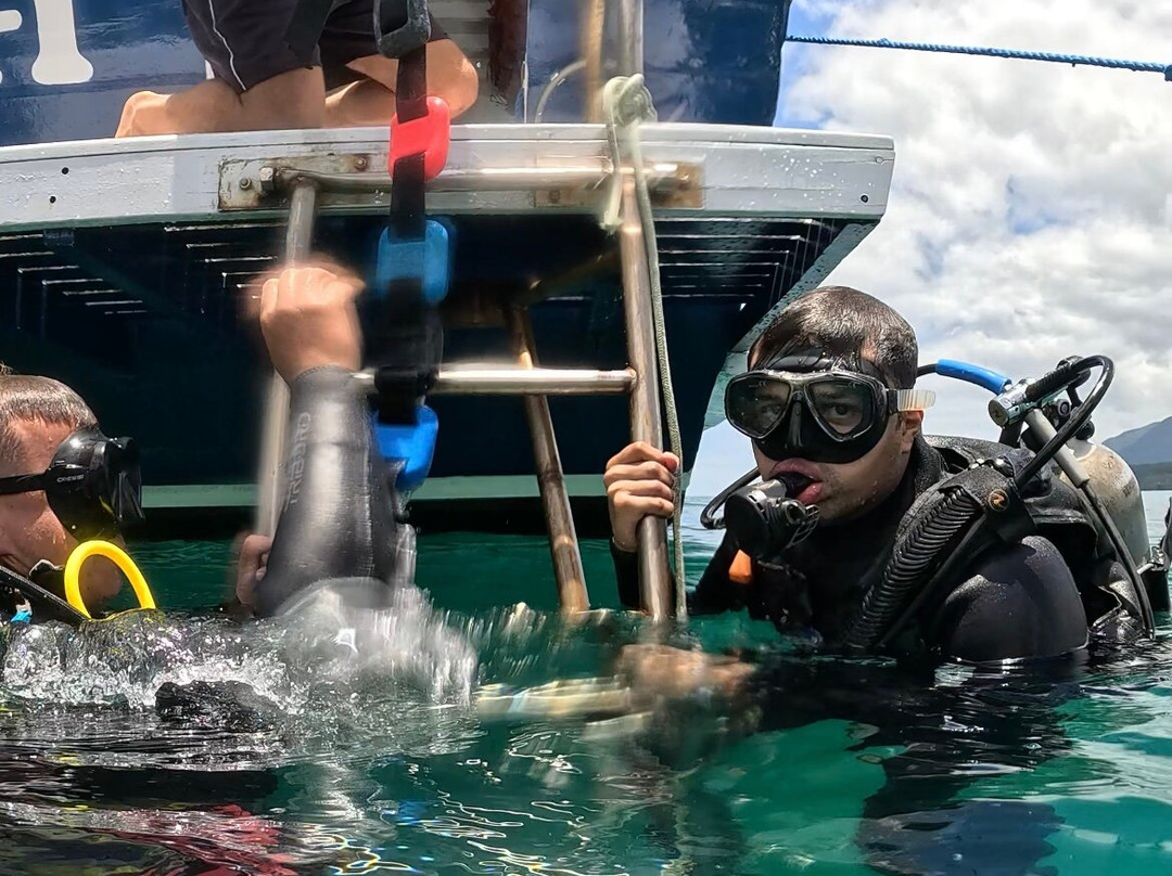 Narwhal-伊利亚贝拉必去景点