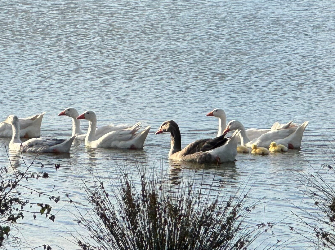 Tygum Lagoon and Park-Waterford West必去景点