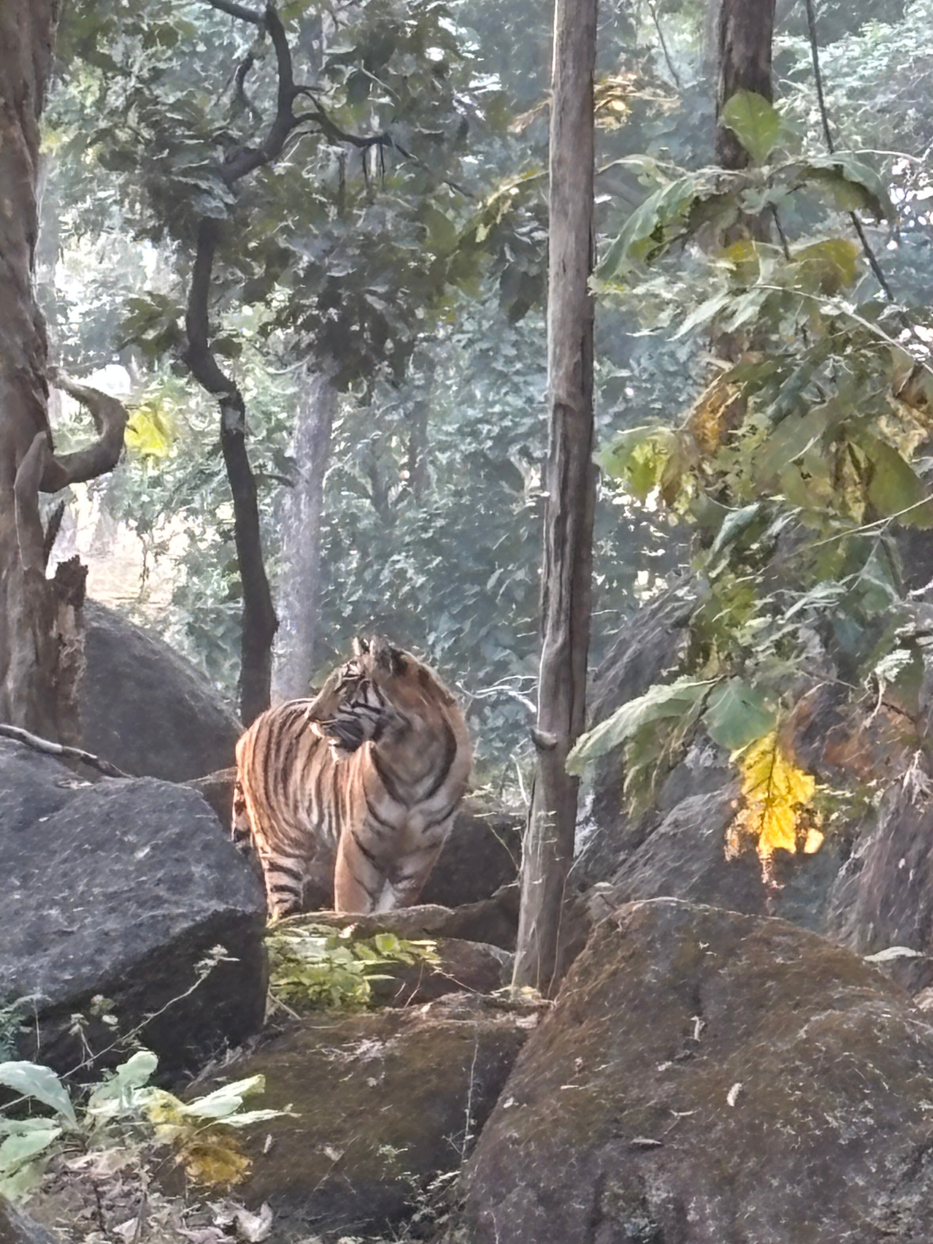 WelcomHeritage Jungle Home-官方