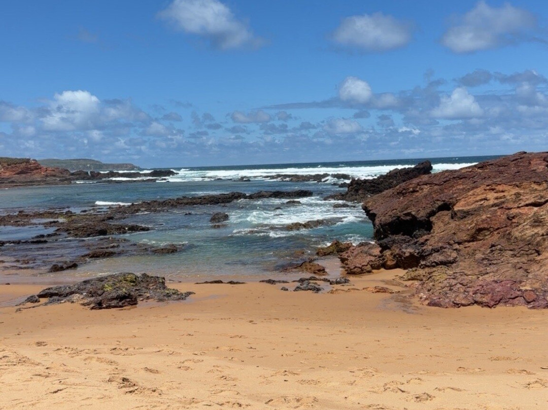 Forrest Caves-Newhaven必去景点