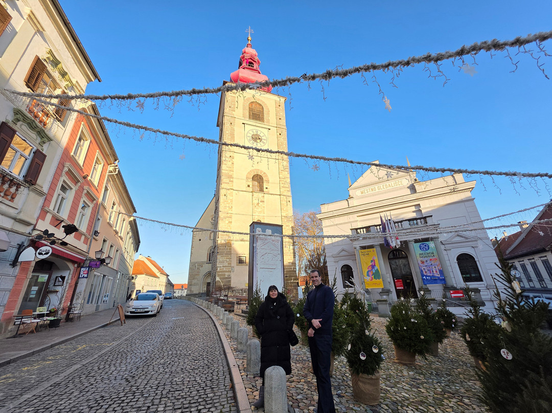 Ptuj City Tower-普图伊必去景点