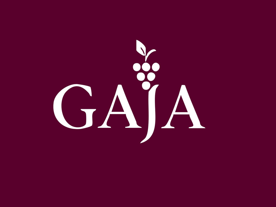 Gaja Exclusive Wine & Spirits Store