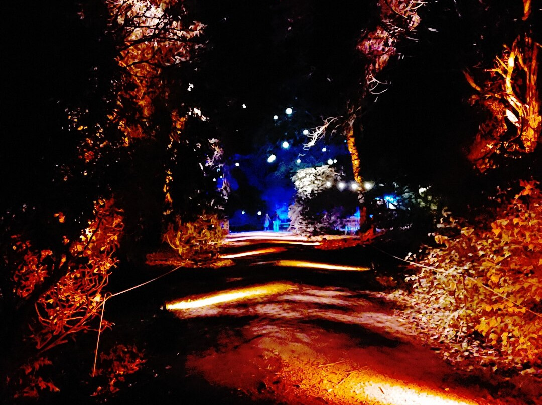 Westonbirt Arboretum-泰特伯里必去景点