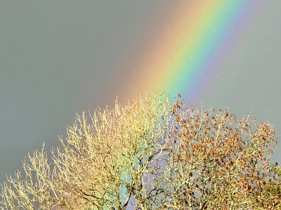 Cranborne Chase Escapes-Broad Chalke必去景点