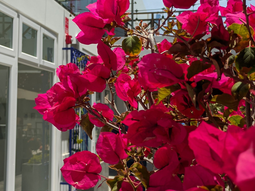 Casa Riviera-Pimentel必去景点