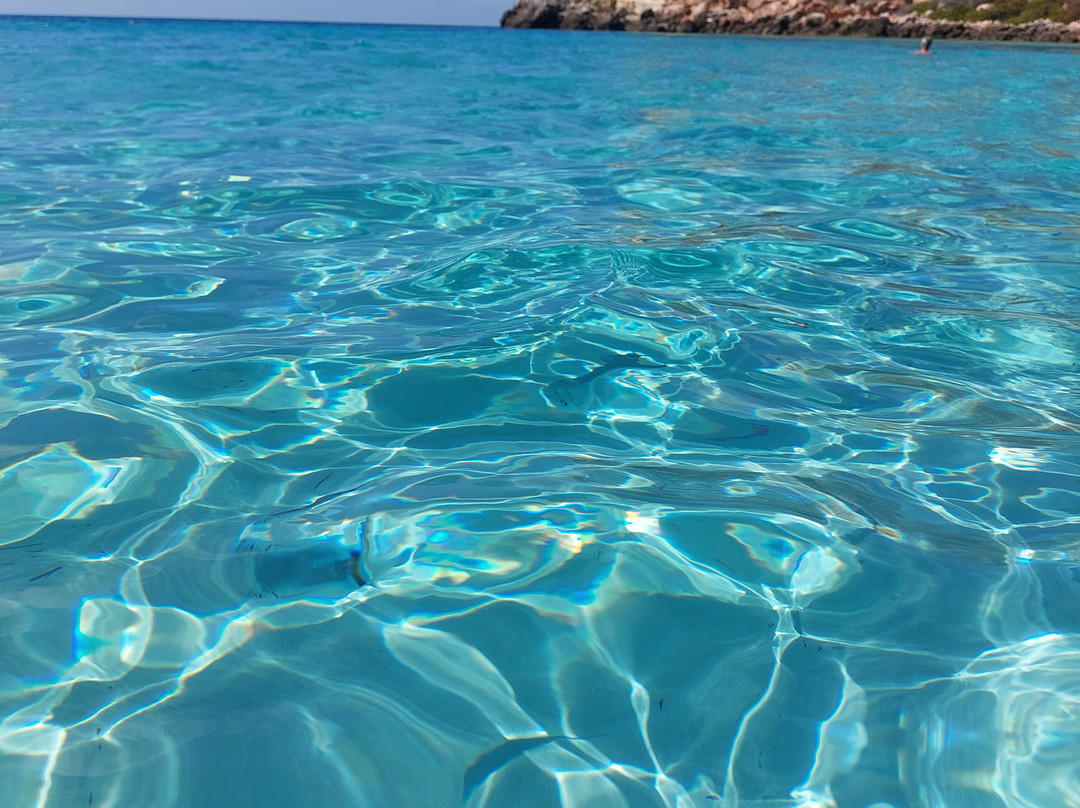 Residence Villalba主图