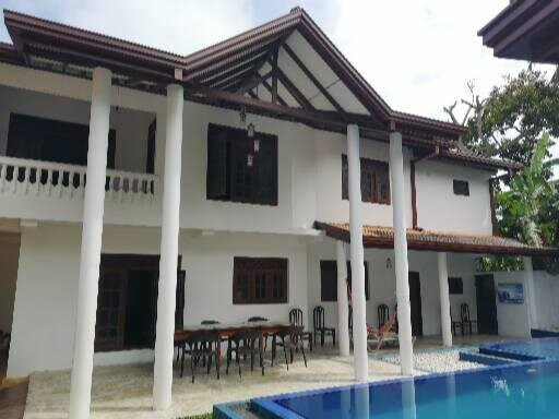 Galle Camellia主图