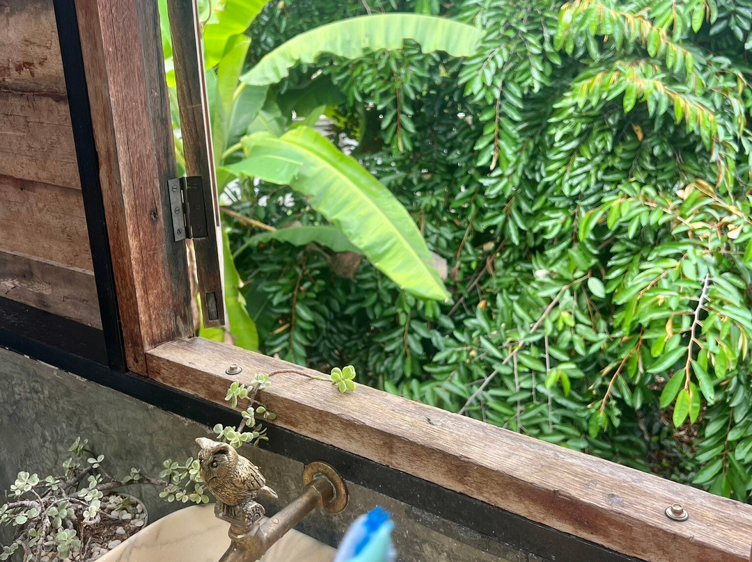 Rai Pluk Rak Thai Organic Farm-挽桴必去景点