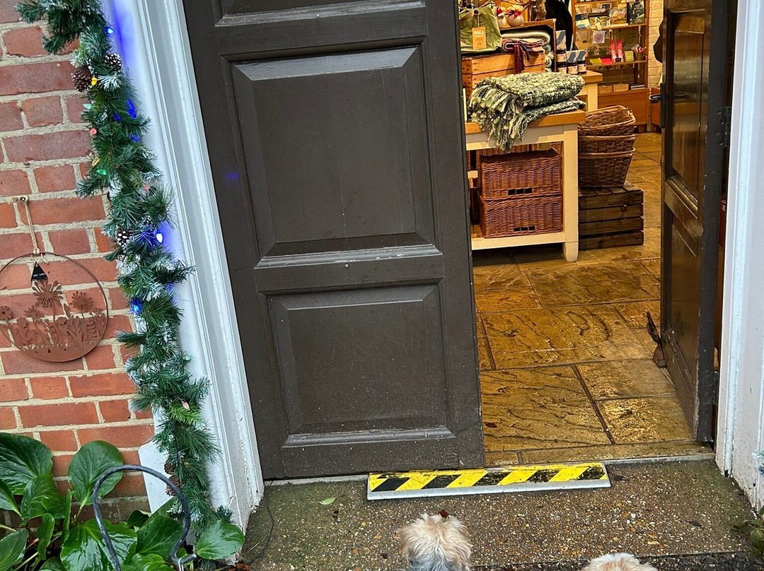 Hinton Ampner House and Garden-Hinton Ampner必去景点