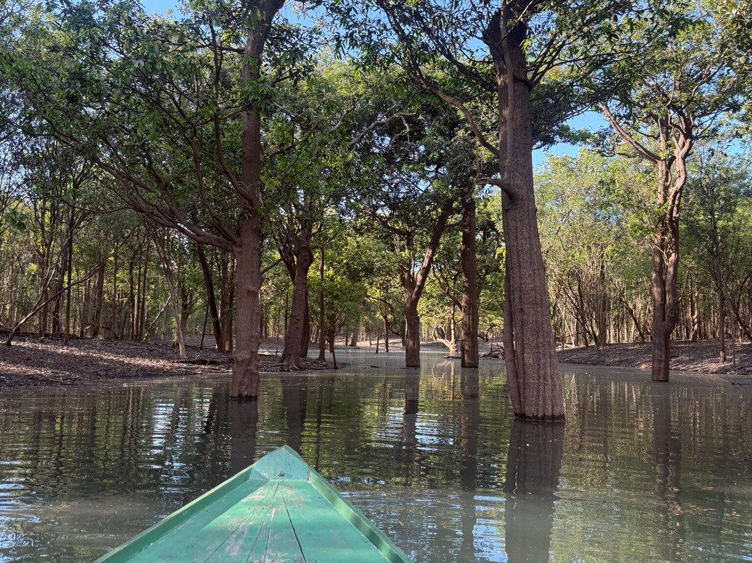 Amazon Green Tours-玛瑙斯必去景点