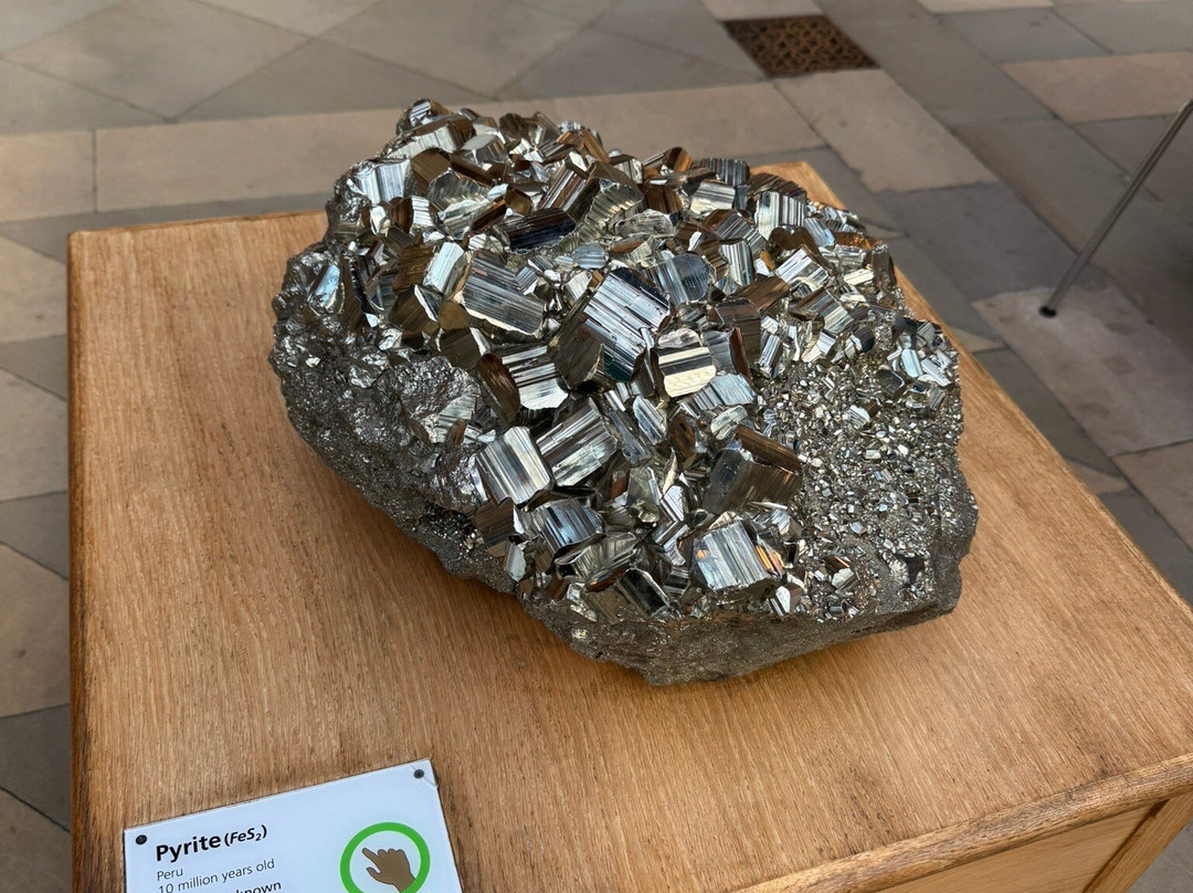 牛津大学自然历史博物馆-牛津必去景点