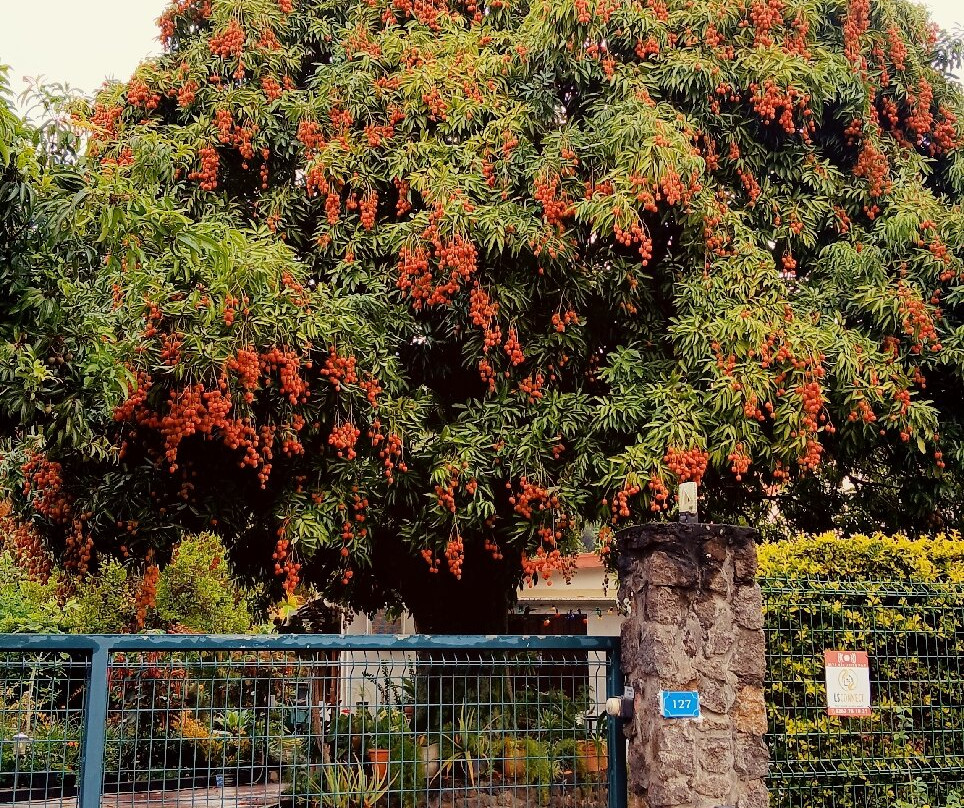 Kreolie 4x4-Entre-Deux必去景点