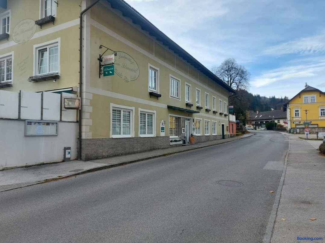 Turnitz酒店住宿-Zum Blumentritt