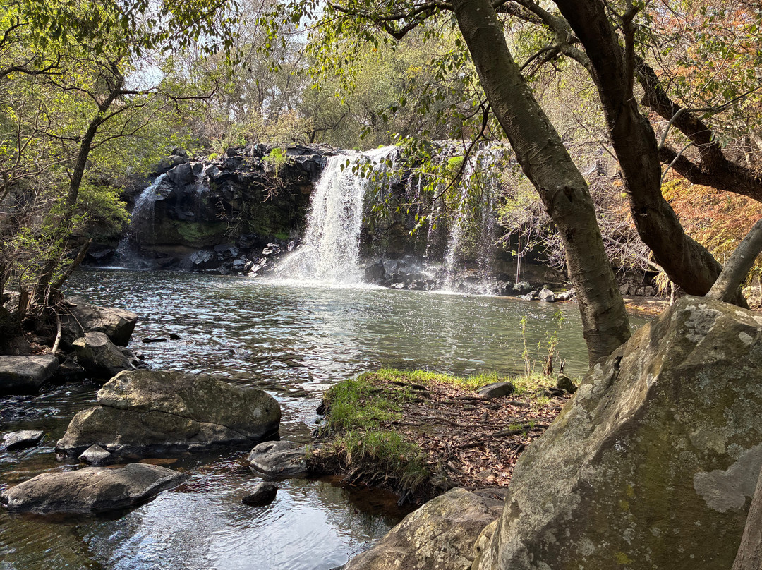 Rancho Las Cascadas Riding Tours-San Agustin Buenavista必去景点