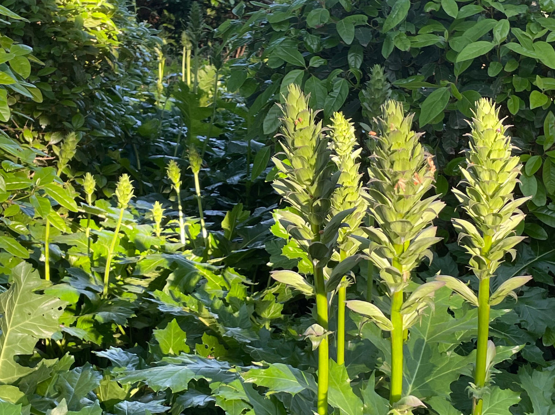 Mas de l'Ermitage主图