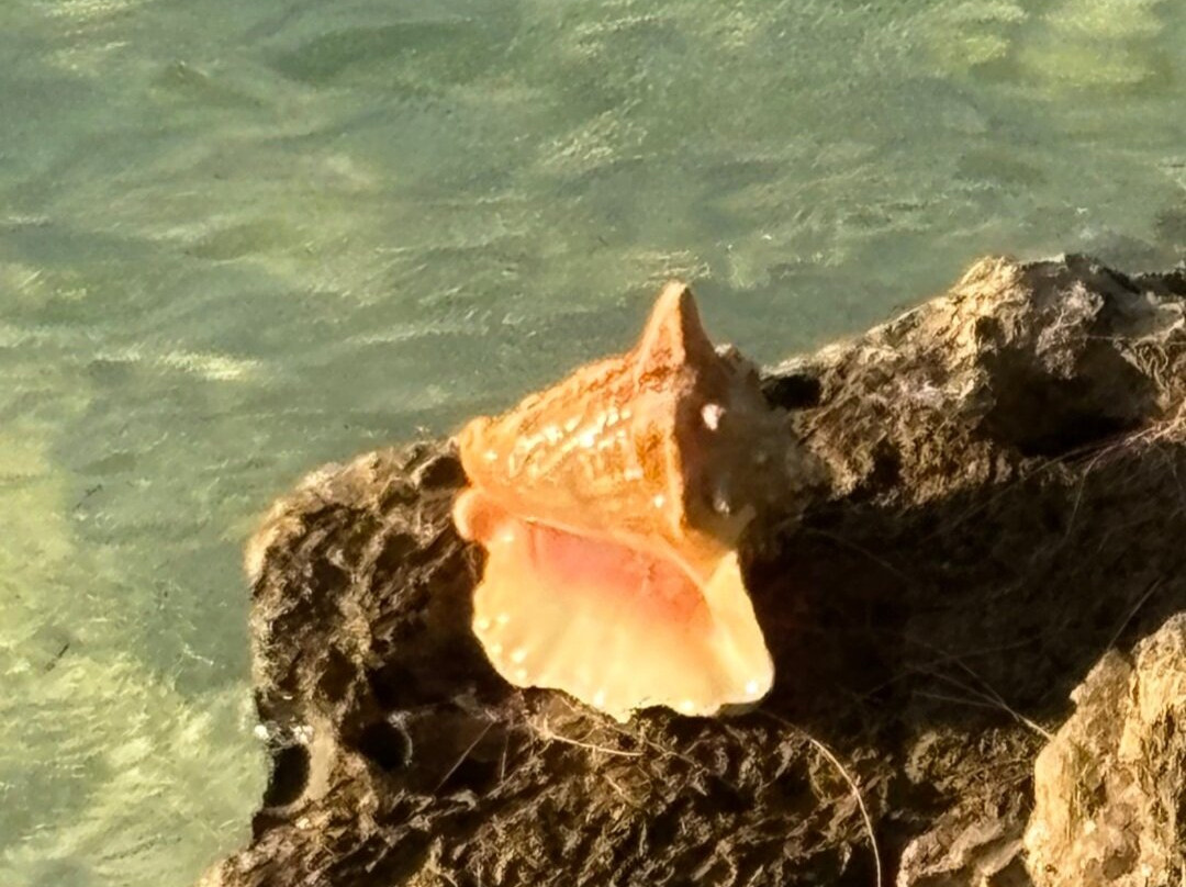 Andros Diving-Kemps Bay必去景点
