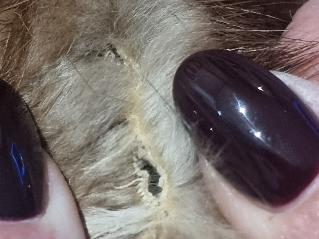 Vulcano Buono-诺拉必去景点